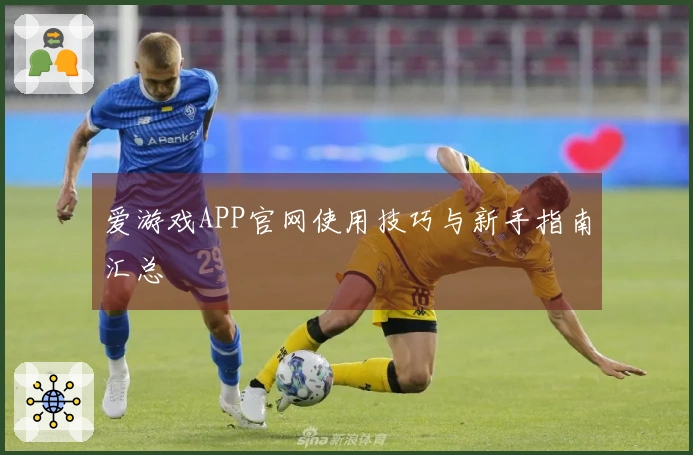 爱游戏APP官网使用技巧与新手指南汇总