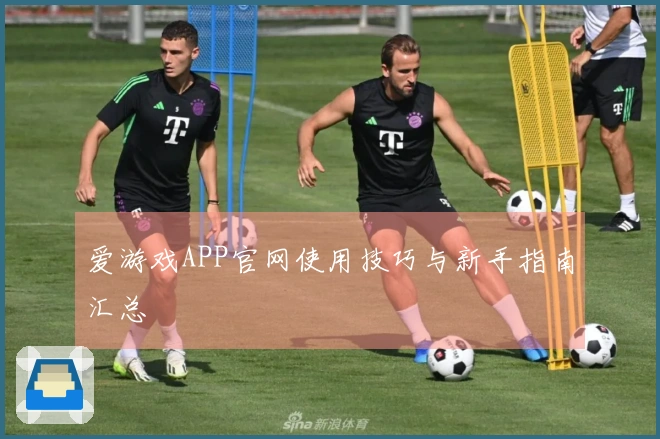 爱游戏APP官网使用技巧与新手指南汇总